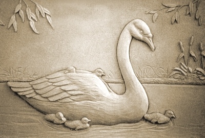 Swan